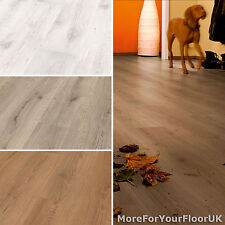 Basic Laminate Flooring 6mm