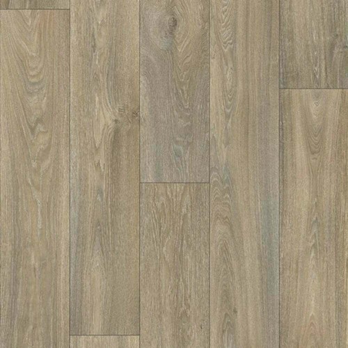 Driftwood oak wood - driftwood,